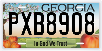 GA license plate PXB8908