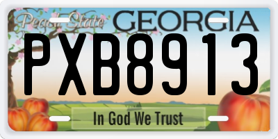 GA license plate PXB8913