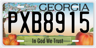 GA license plate PXB8915