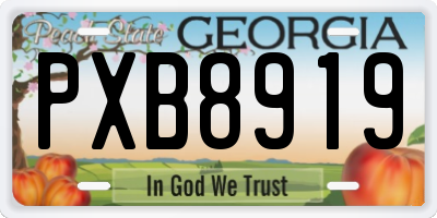 GA license plate PXB8919