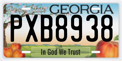 GA license plate PXB8938
