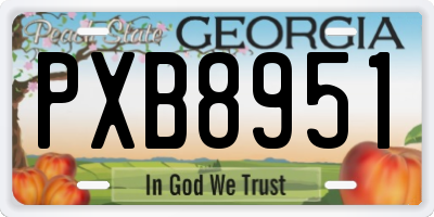 GA license plate PXB8951