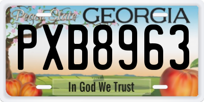 GA license plate PXB8963