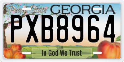 GA license plate PXB8964