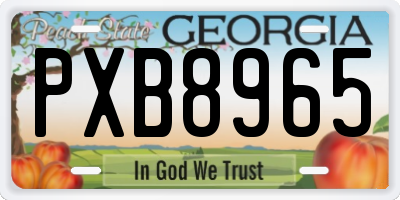 GA license plate PXB8965