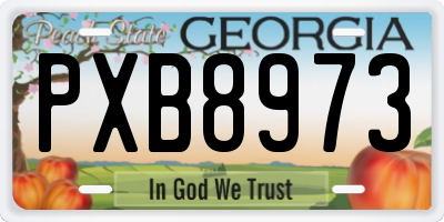 GA license plate PXB8973