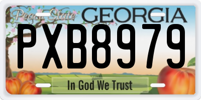 GA license plate PXB8979