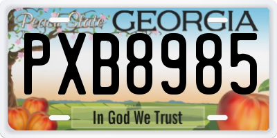 GA license plate PXB8985