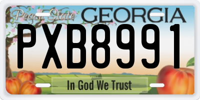 GA license plate PXB8991