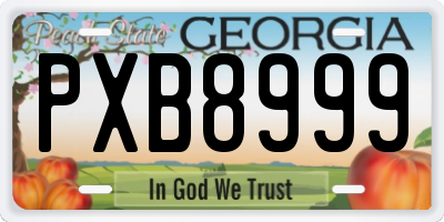 GA license plate PXB8999