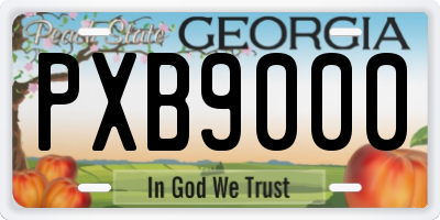 GA license plate PXB9000