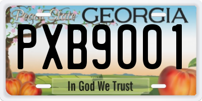 GA license plate PXB9001