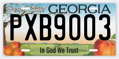 GA license plate PXB9003