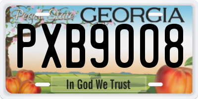 GA license plate PXB9008