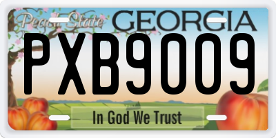 GA license plate PXB9009