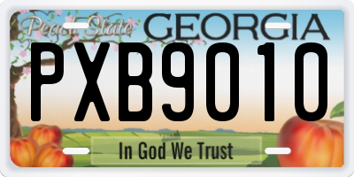 GA license plate PXB9010