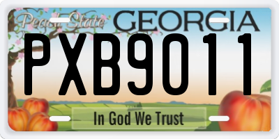 GA license plate PXB9011