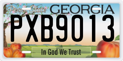 GA license plate PXB9013