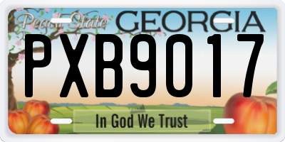 GA license plate PXB9017