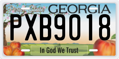 GA license plate PXB9018