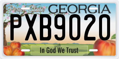 GA license plate PXB9020