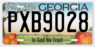 GA license plate PXB9028