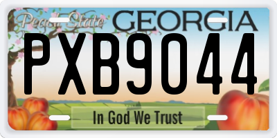 GA license plate PXB9044