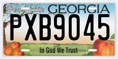 GA license plate PXB9045