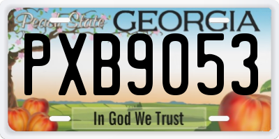 GA license plate PXB9053