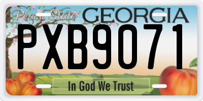 GA license plate PXB9071