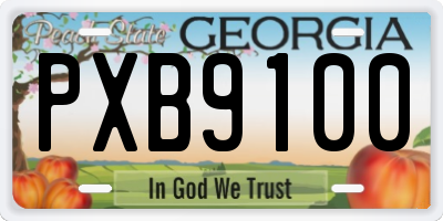 GA license plate PXB9100