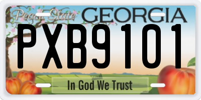 GA license plate PXB9101
