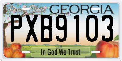 GA license plate PXB9103