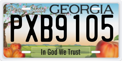 GA license plate PXB9105
