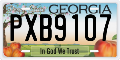 GA license plate PXB9107