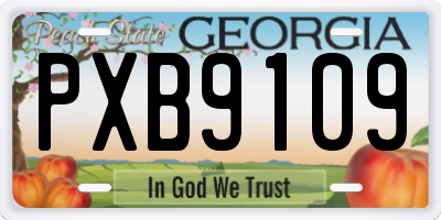 GA license plate PXB9109
