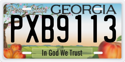 GA license plate PXB9113