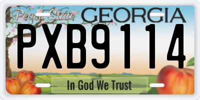 GA license plate PXB9114
