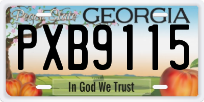 GA license plate PXB9115