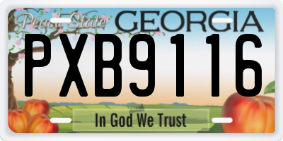 GA license plate PXB9116