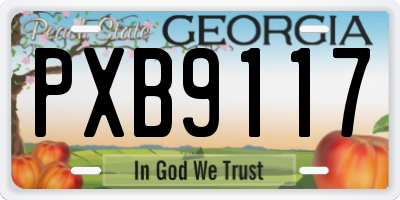 GA license plate PXB9117