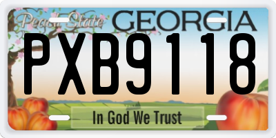 GA license plate PXB9118