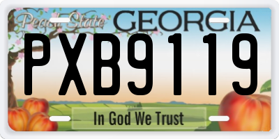 GA license plate PXB9119