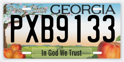 GA license plate PXB9133