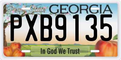 GA license plate PXB9135