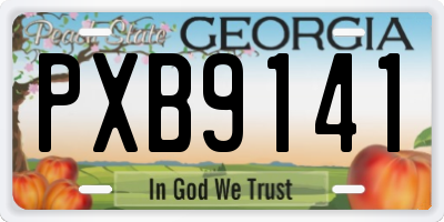 GA license plate PXB9141