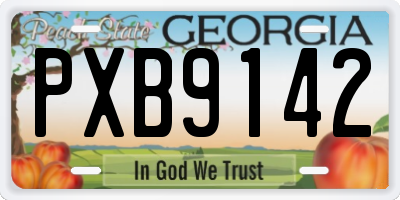 GA license plate PXB9142