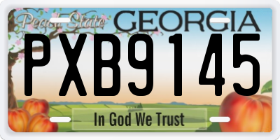 GA license plate PXB9145