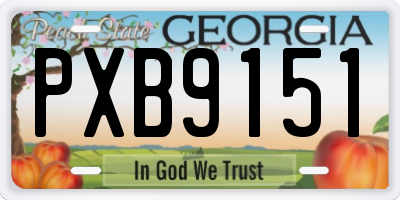 GA license plate PXB9151