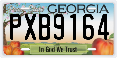 GA license plate PXB9164